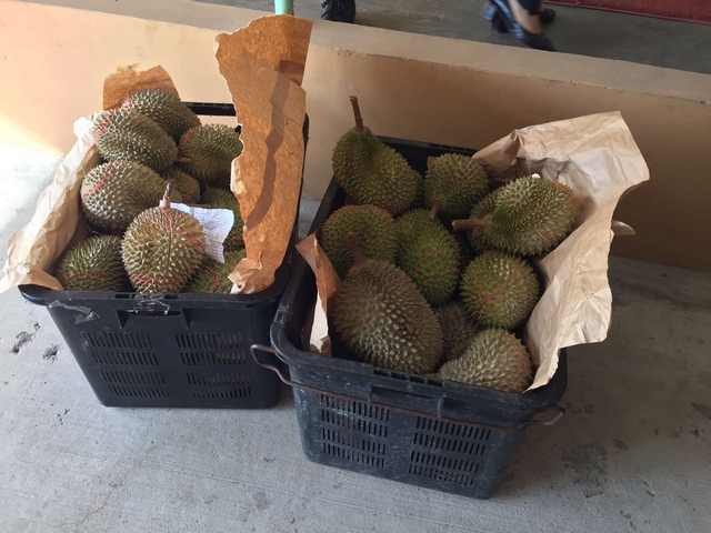 jh_durian-feast_2016-1