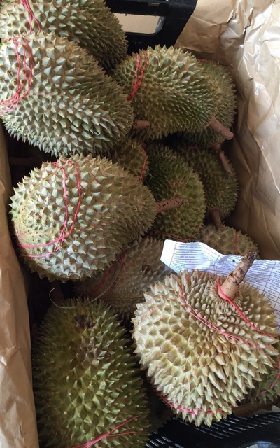jh_durian-feast_2016-10