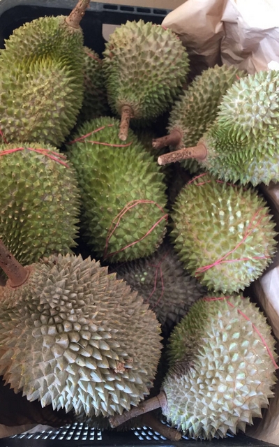 Company Durian Feast 2016