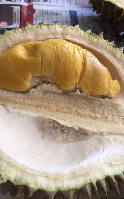 jh_durian-feast_2016-13